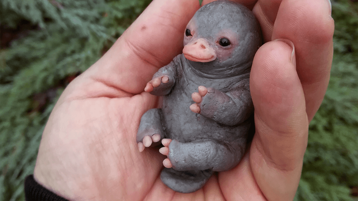 Baby Platypus Sculpture meme template - Baby Platypus Sculpture