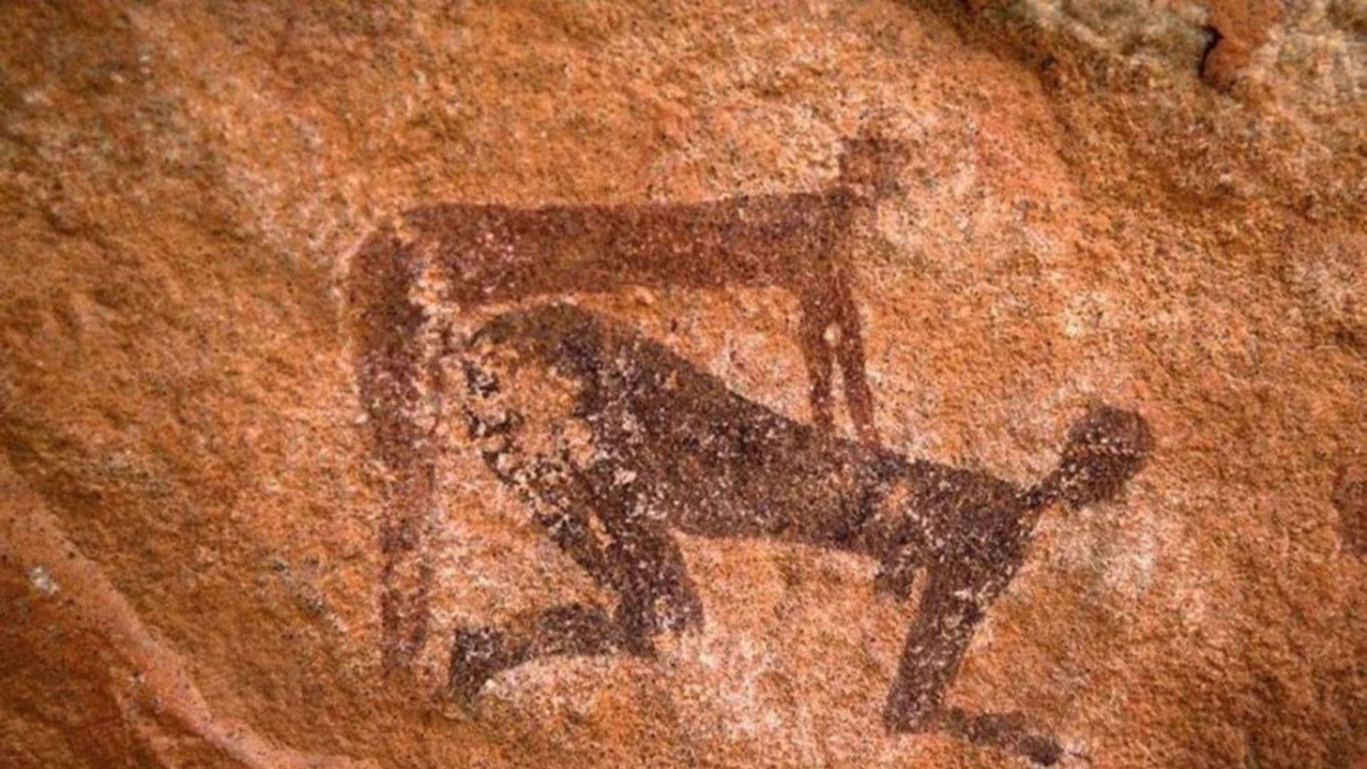 Backshots Cave Painting / Backshots Are Truly Generational meme template - Backshots Cave Painting
