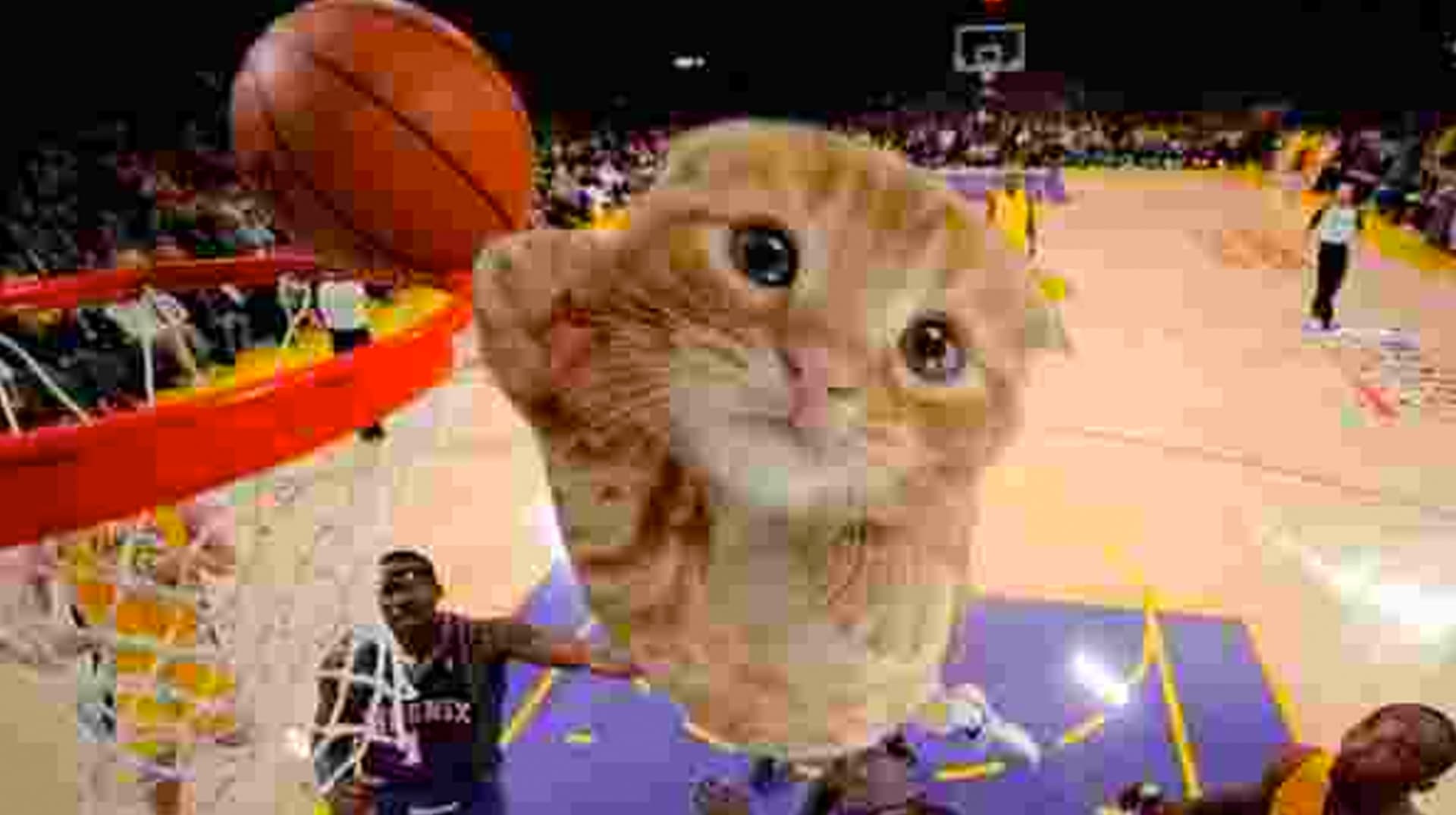 Ballincat43 / Thank You Ballincat43 meme template - Ballincat43