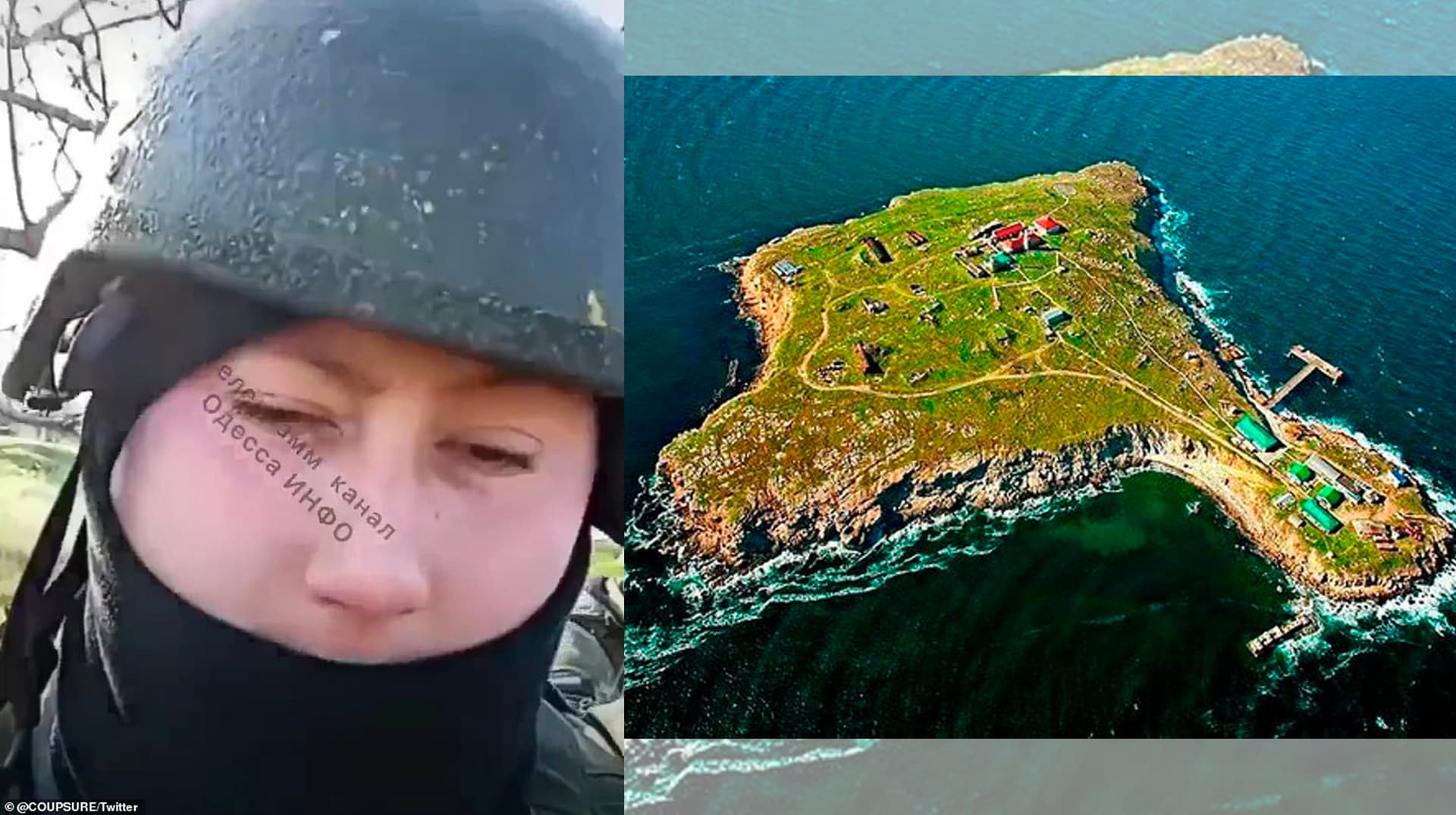Battle of Snake Island meme template - Battle of Snake Island