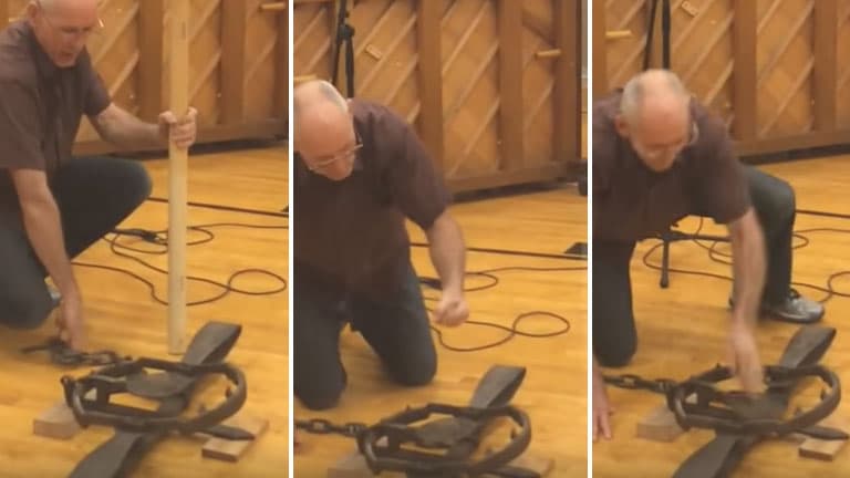 Bear Trap Punch meme template - Bear Trap Punch