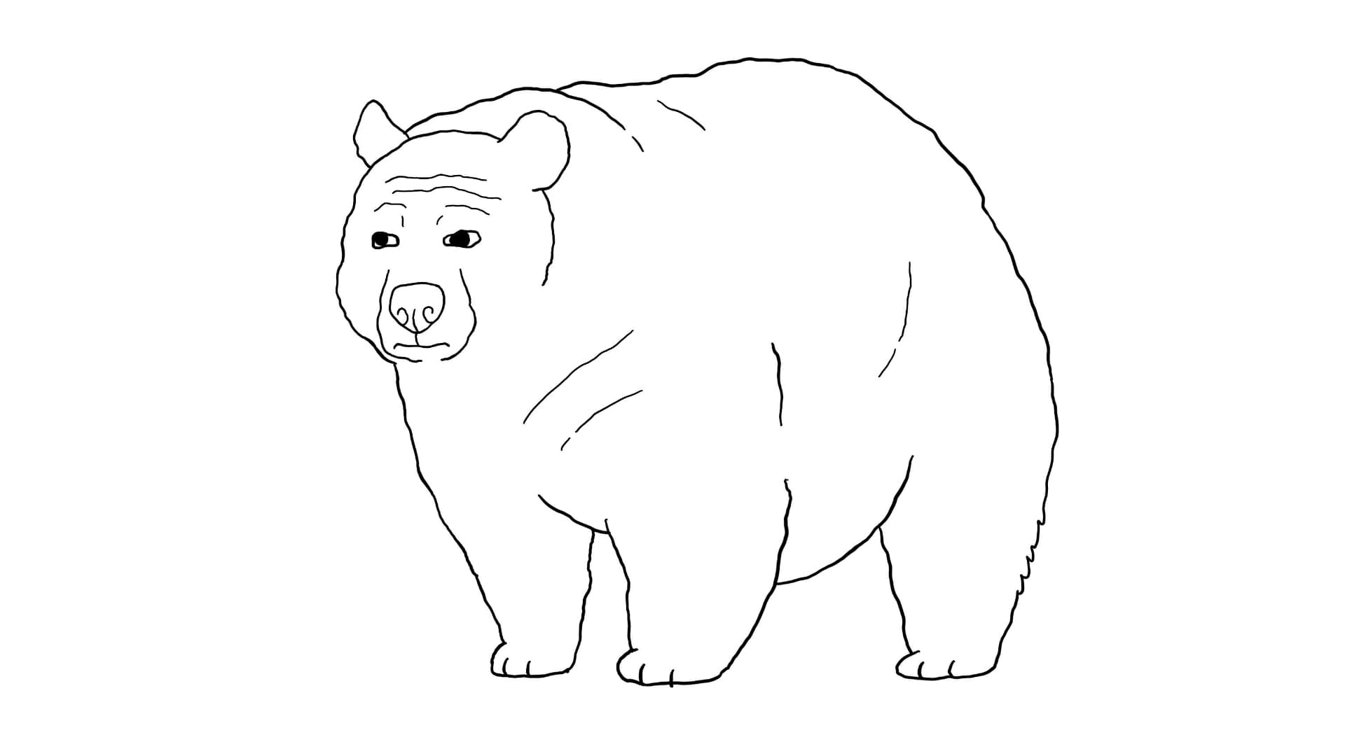 Bearjak meme template - Bearjak