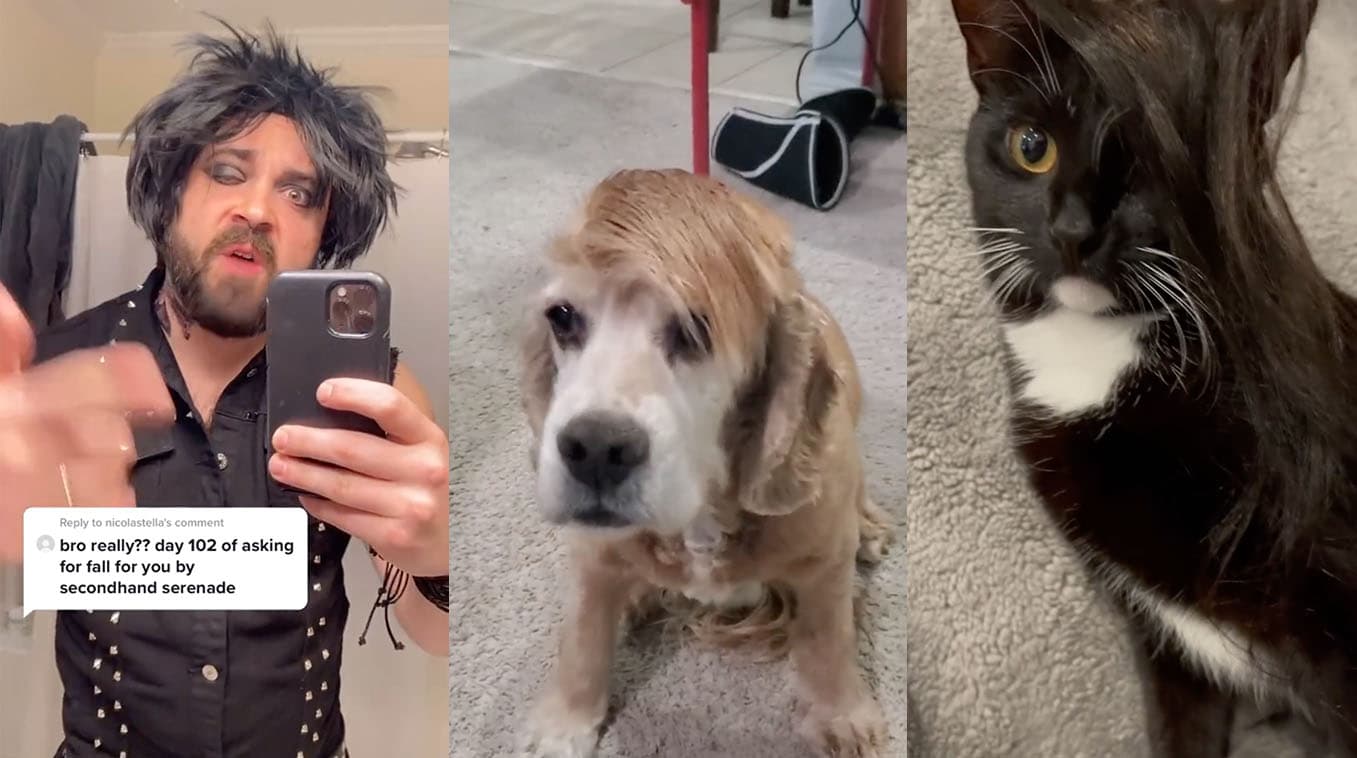 Because Tonight Will Be The Night That I Will Fall For You meme template - Fall For You