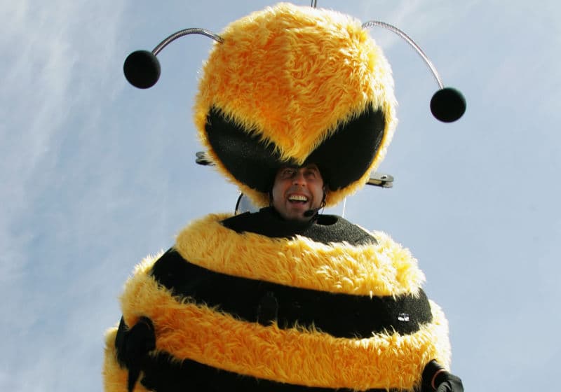 Bees Are Dying at an Alarming Rate meme template - Bees Are Dying at an Alarming Rate