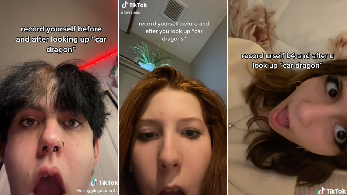 Before and After Looking Up "Car Dragon" meme template - Before and After Looking Up Car Dragon