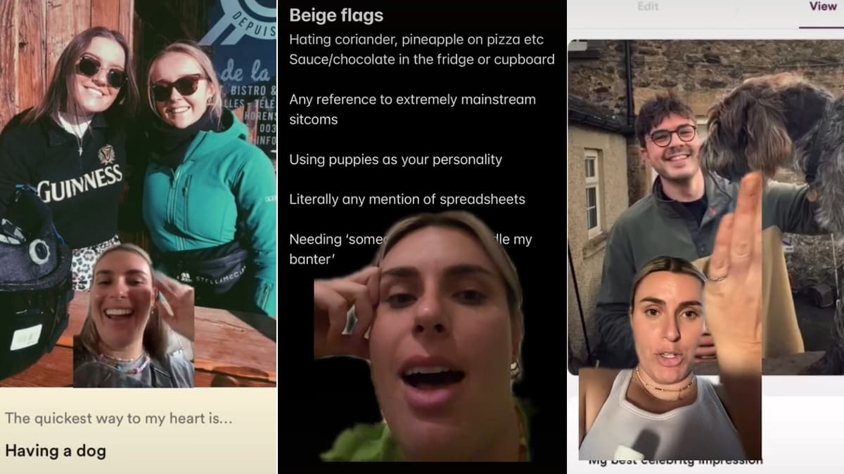 Beige Flag meme template - Beige Flag