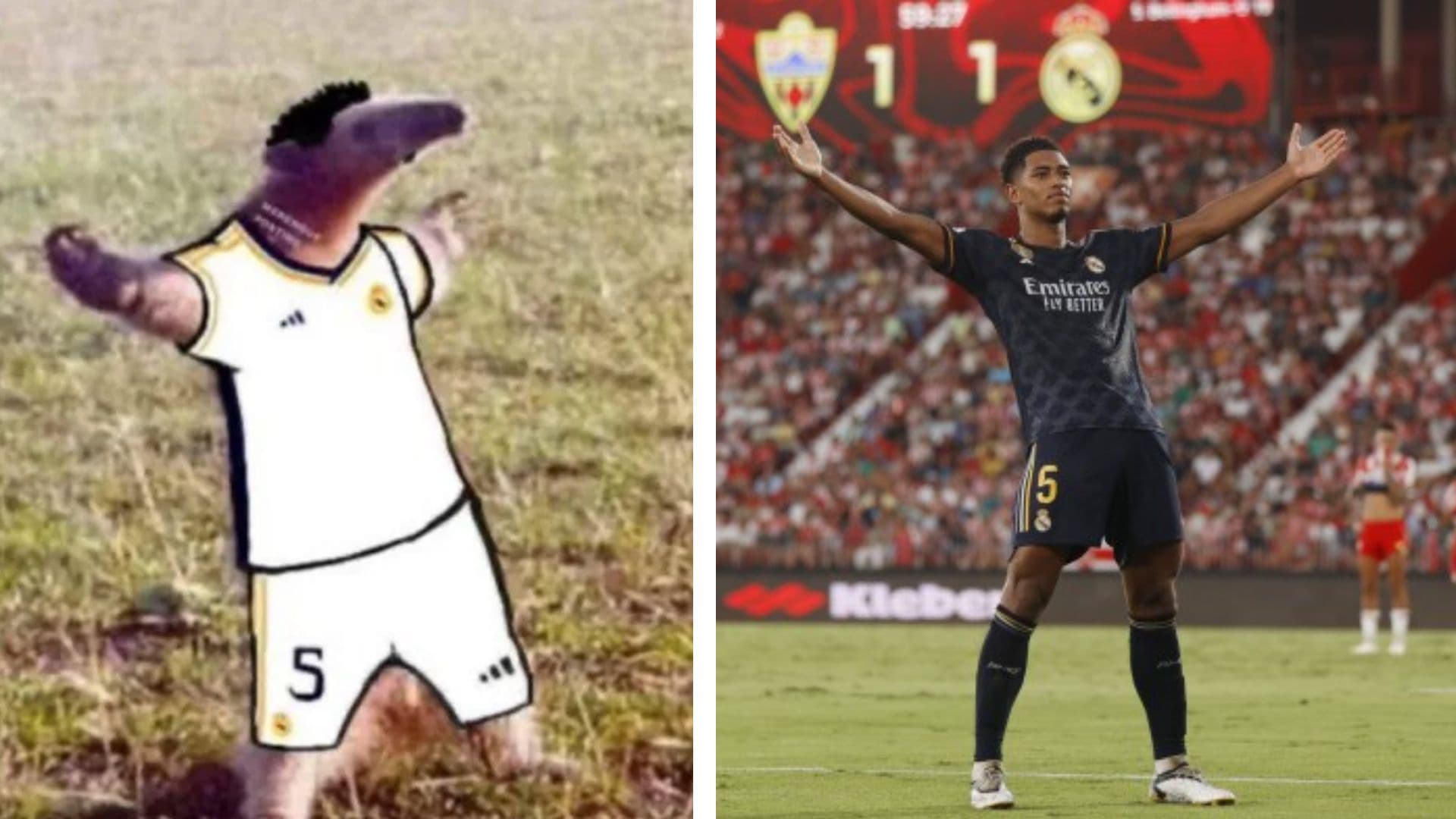 Bellingham Celebration / Belligol meme template - Bellingham Celebration