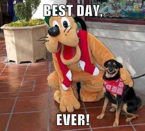 Best. Day. Ever. meme template - Best Day Ever