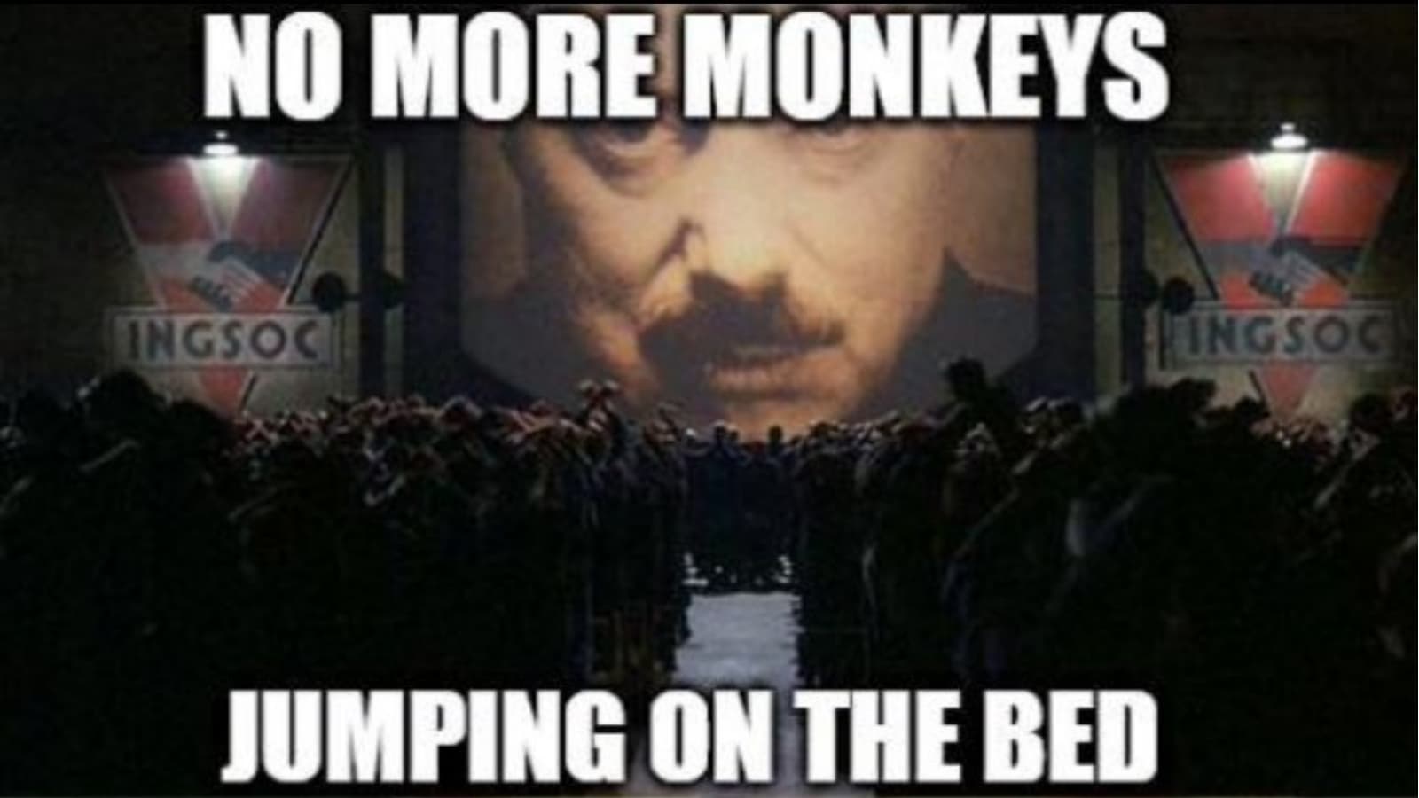 Big Brother Orders / 1984 GIF meme template - Big Brother Orders GIF