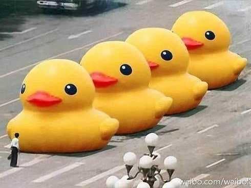 Big Yellow Duck meme template - Big Yellow Duck