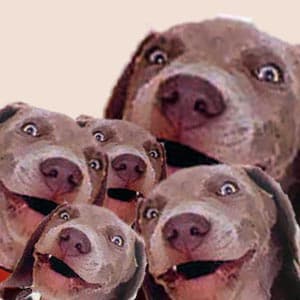 bigim meme template - Bigim