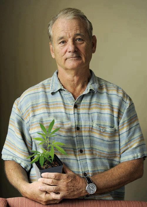Bill Murray meme template - Bill Murray