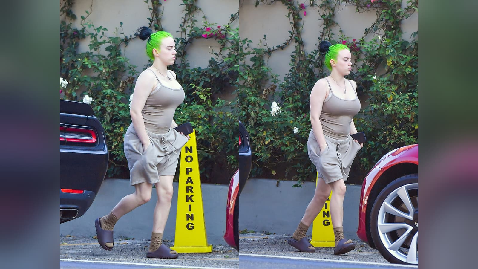 Billie Eilish's Tank Top Photos meme template - Billie Eilish Tank Top