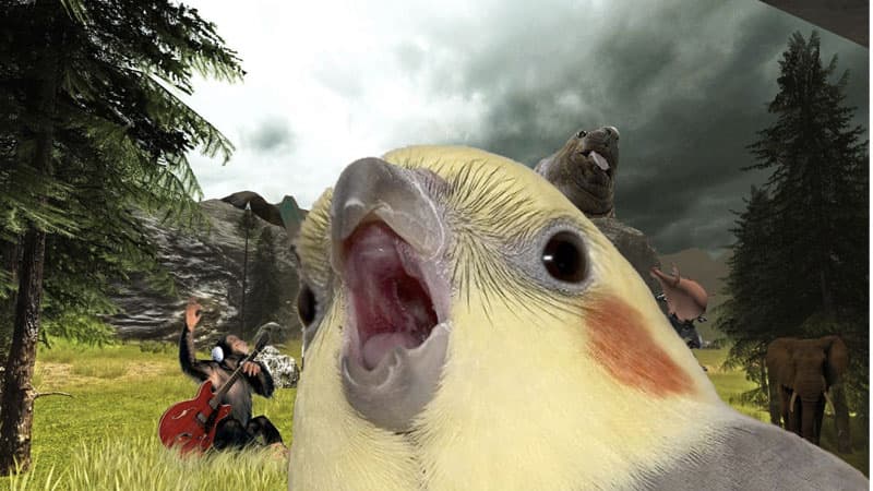 Blockatiel meme template - Blockatiel