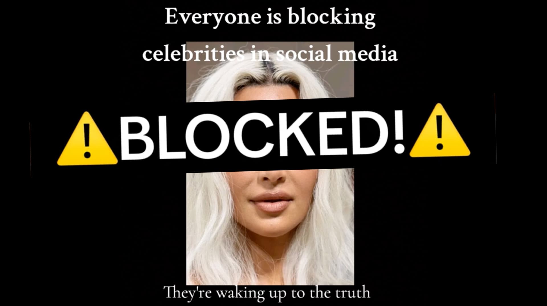 Blocking Celebrities Trend / Blockout 2024 meme template - Blockout 2024