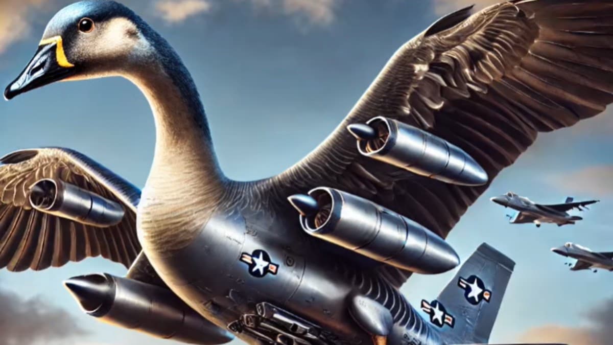 Bombombini Gusini meme template - Bombombini Gusini