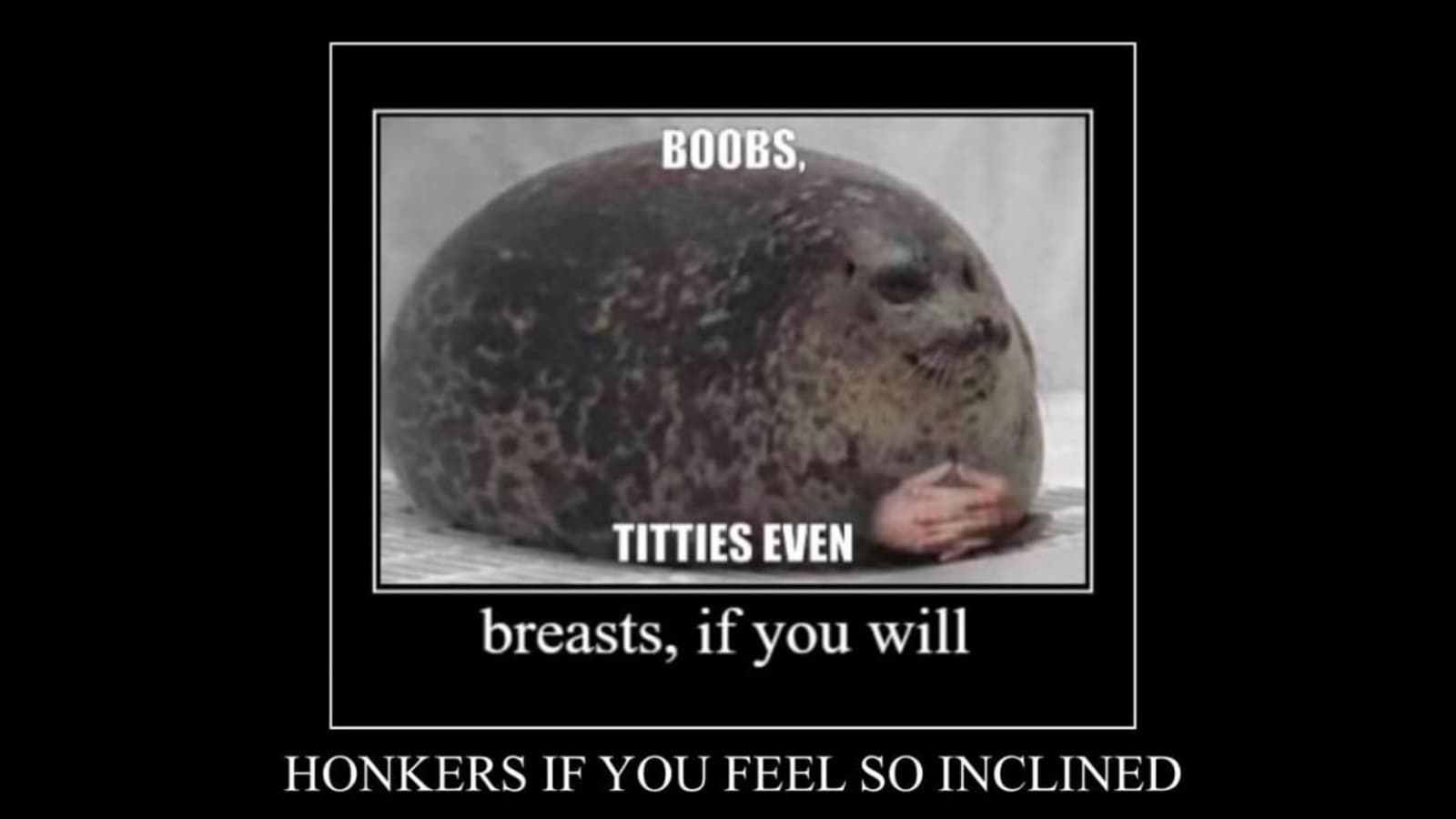 Boobs, Titties Even, Honkers If You Feel So Inclined meme template - Boobs Titties Even