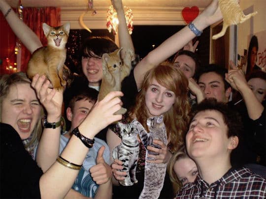 Boozecats meme template - Boozecats