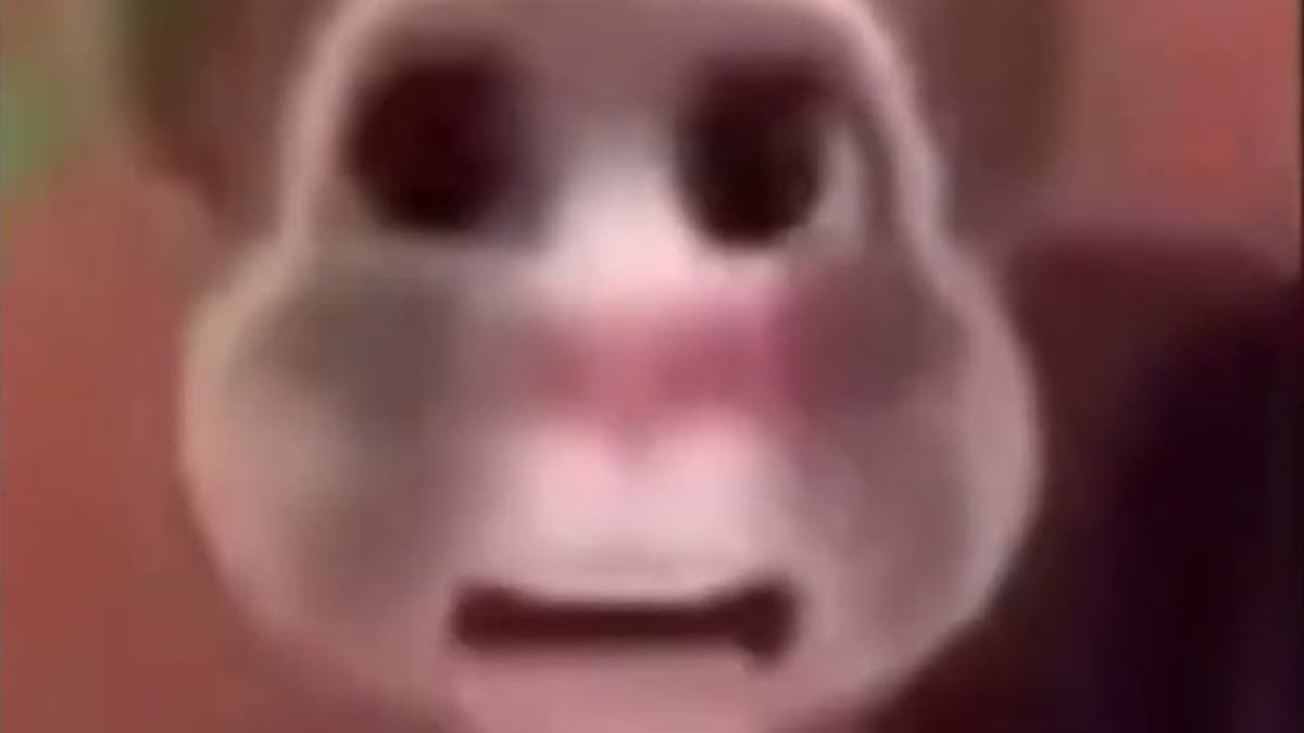 Boy What The Hell Boy meme template - Boy What The Hell Boy