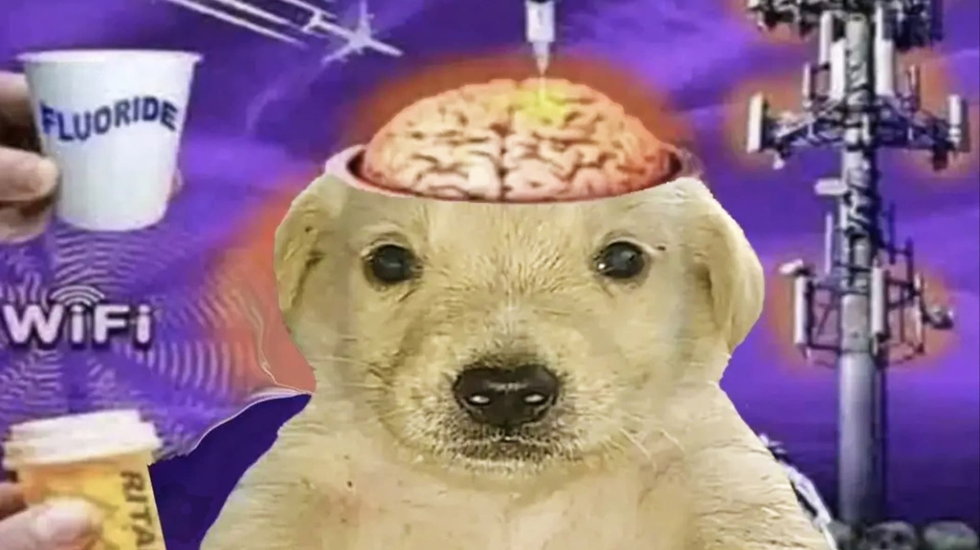 Brainwashed Jotchua / Brainwashed Kid meme template - Brainwashed Jotchua