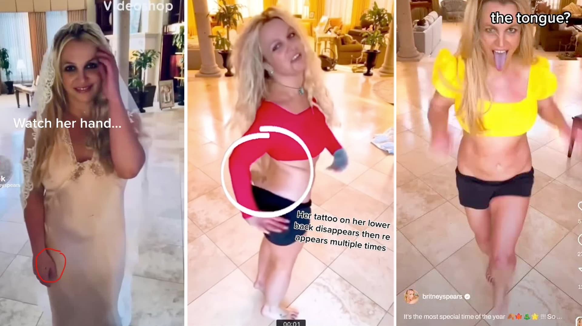 Britney Spears Death and Body Double Conspiracy meme template - Britney Spears Body Double