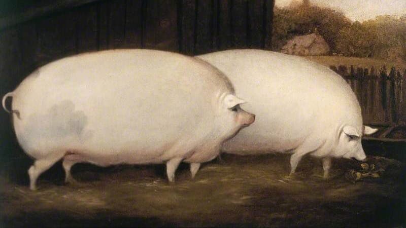 Brother, May I Have Some Oats meme template - Brother May I Have Some Oats