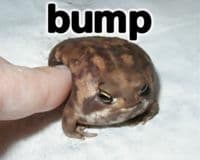 Bump meme template - Bump
