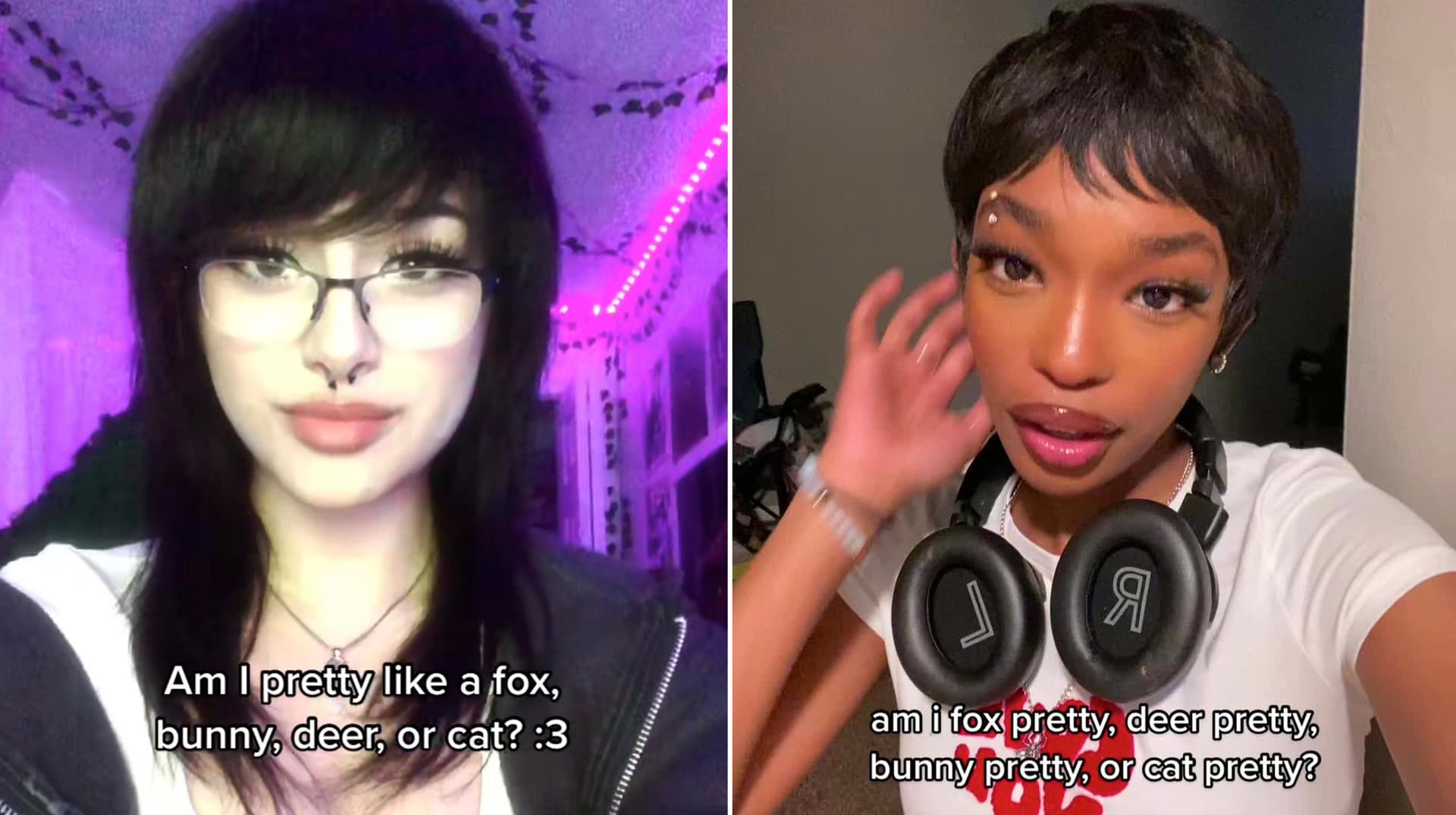 Bunny Pretty, Fox Pretty, Deer Pretty, Cat Pretty meme template - Bunny Pretty Maker