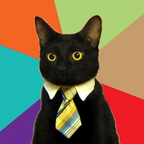 Business Cat meme template - Business Cat