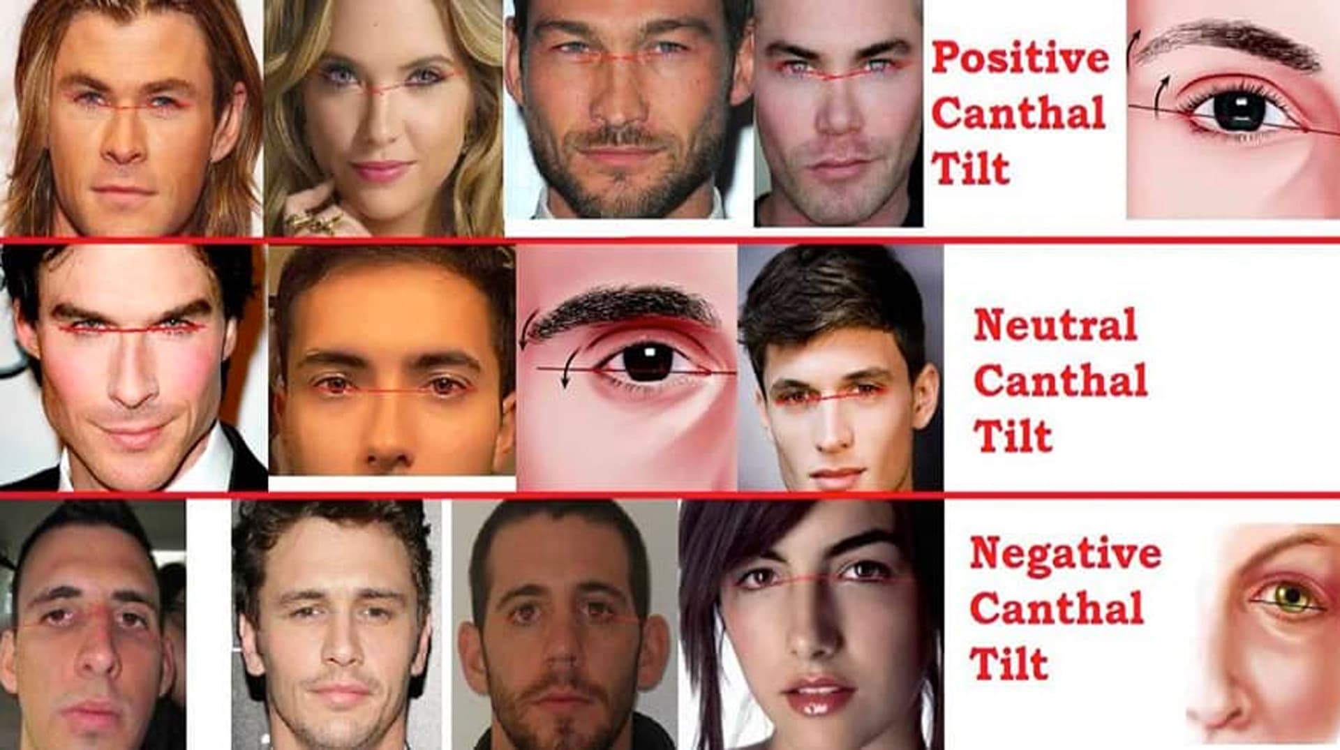 Canthal Tilt meme template - Canthal Tilt