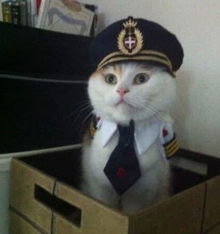 Captain Kitteh meme template - Captain Kitteh