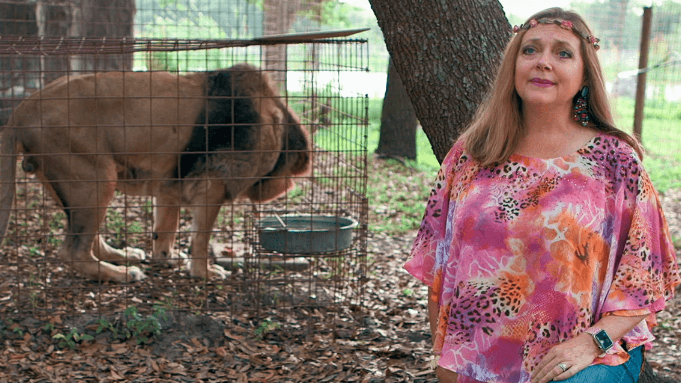 Carole Baskin meme template - Carole Baskin