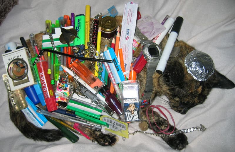 Cat Buckaroo meme template - Cat Buckaroo