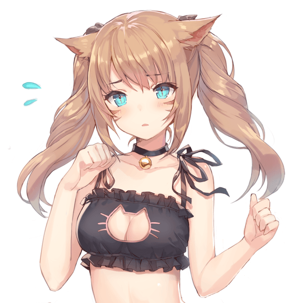 Cat Keyhole Lingerie meme template - Cat Keyhole Lingerie