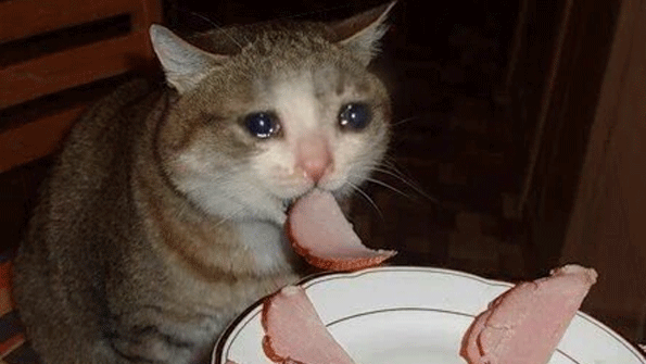 Cats Can Have Little a Salami meme template - Cats Can Have Little a Salami