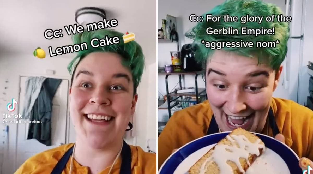 Cedarthebarefoot's Gerblin Lemon Cake TikTok meme template - Gerblin Lemon Cake