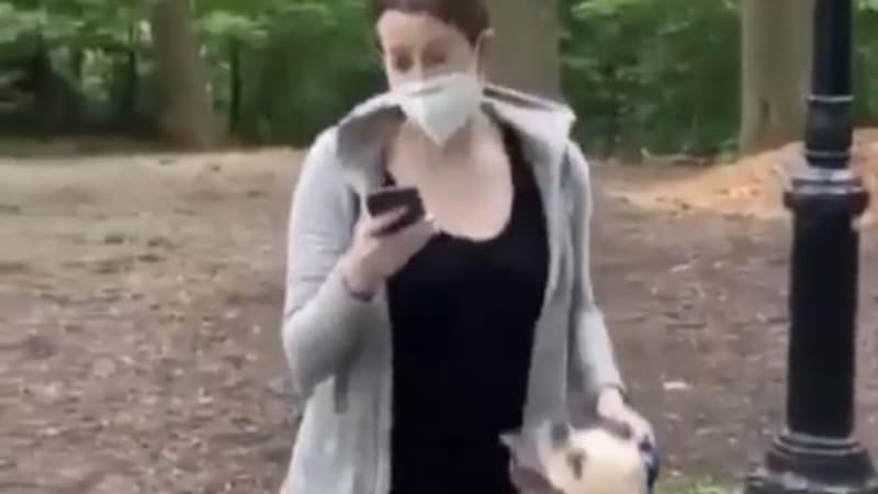 Central Park Karen meme template - Central Park Karen