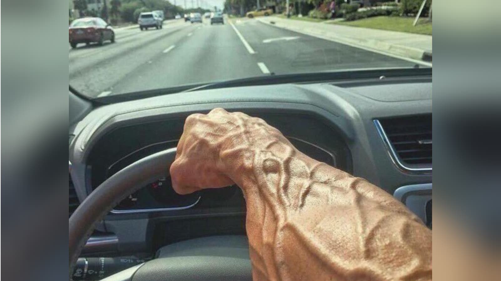 Chad Driver meme template - Chad Driver