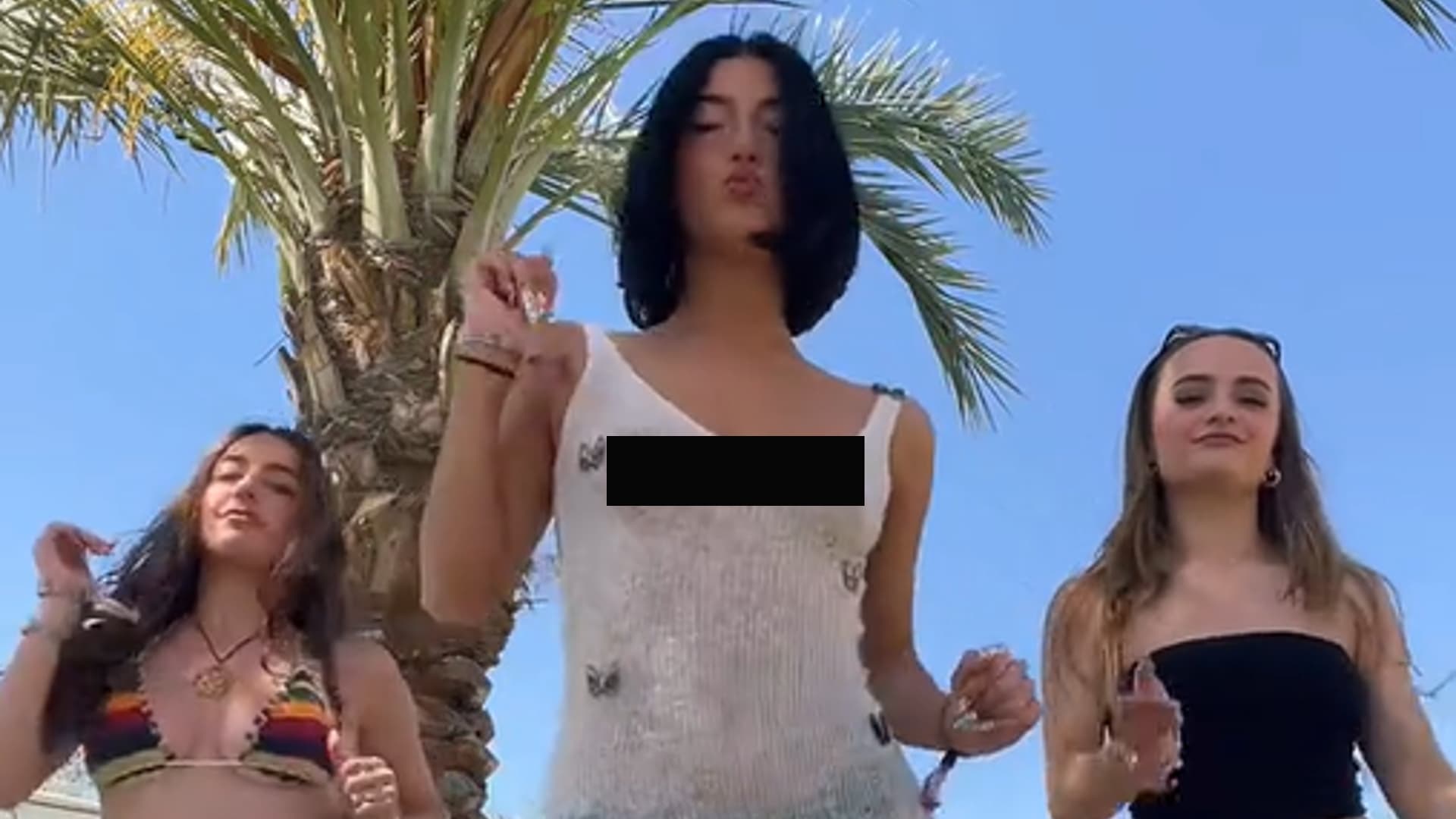 Charli D'Amelio Coachella Dress Controversy meme template - Charli D'Amelio Coachella