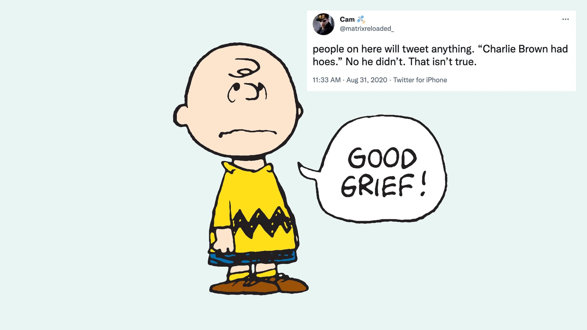 Charlie Brown Had Hoes meme template - Charlie Brown Had Hoes