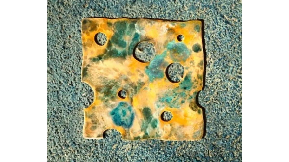 Cheese Touch meme template - Cheese Touch