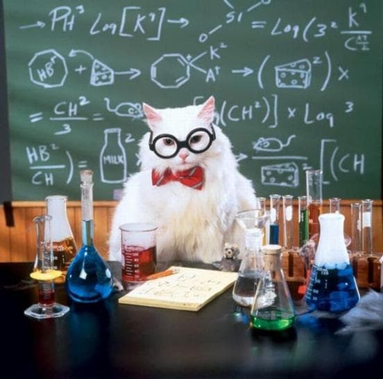 Chemistry Cat meme template - Chemistry Cat