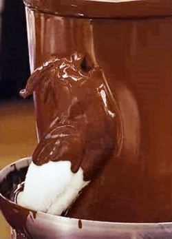 Chocolate Bird meme template - Chocolate Bird