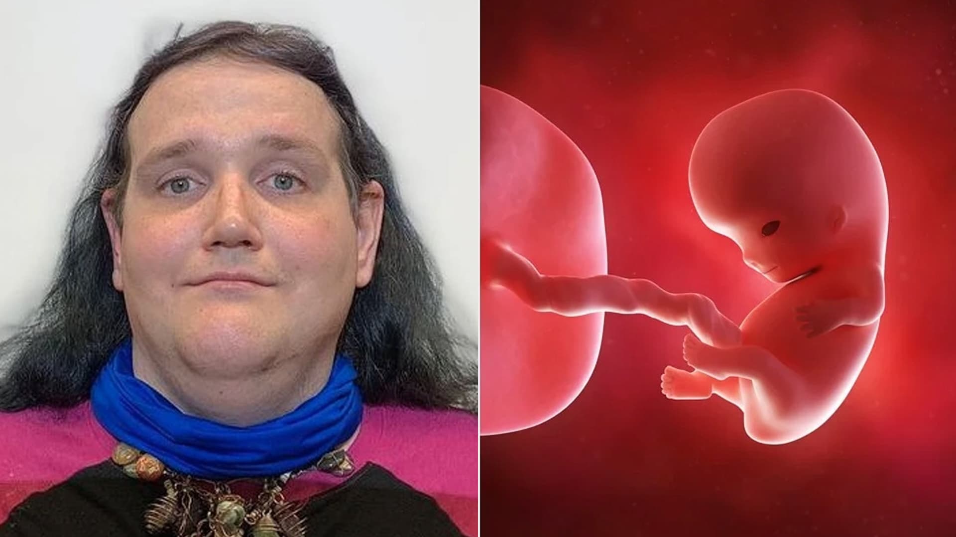 Chris-Chan Child Rumor meme template - Chris-Chan