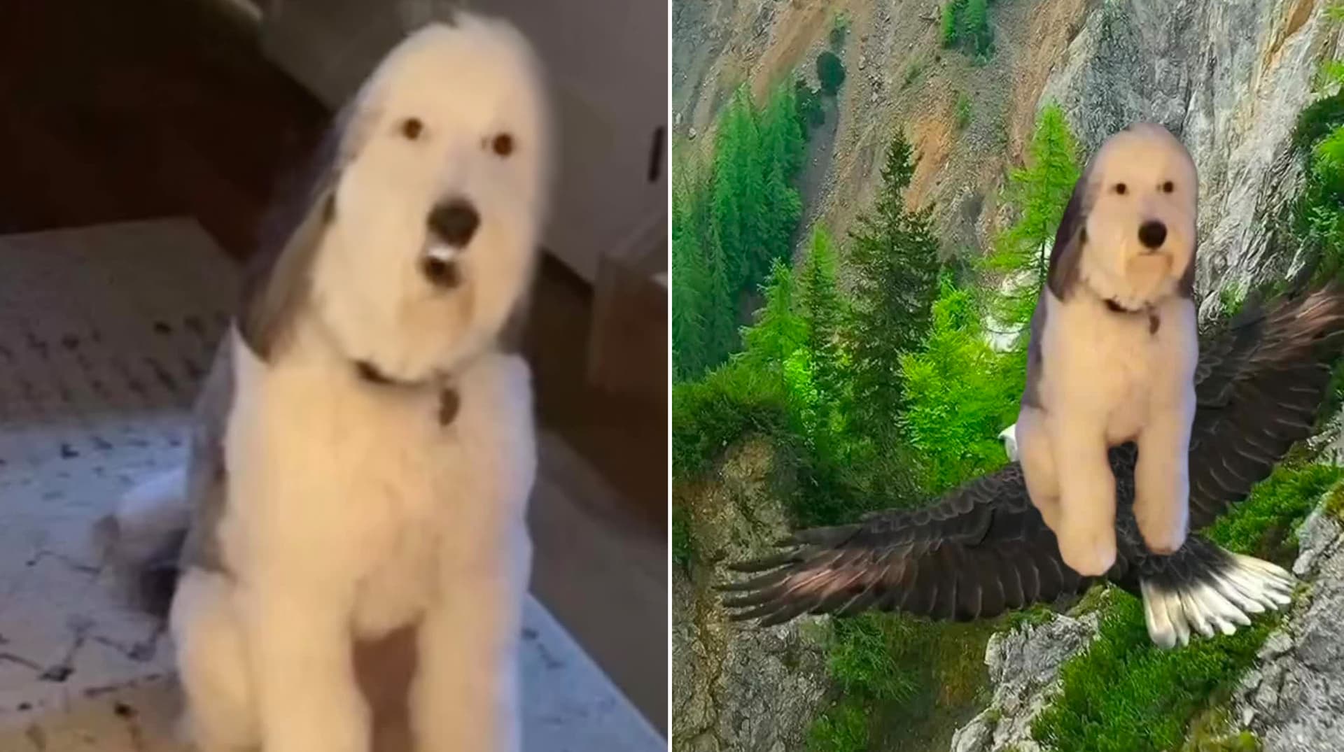 Come Over Here And Kiss Me On My Hot Mouth meme template - Come Over Here And Kiss Me On My Hot Mouth