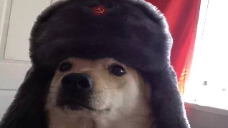 Comrade Doggo meme template - Comrade Doggo