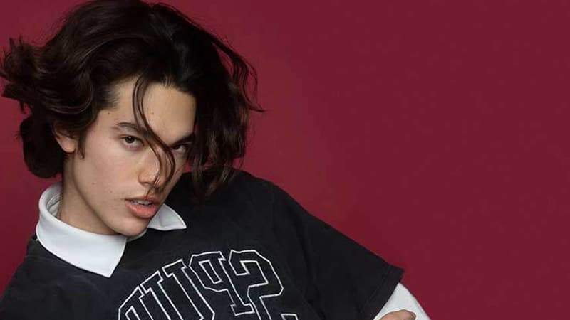 Conan Gray "I'm a Lesbian" Tweet meme template - Conan Gray Lesbian Tweet