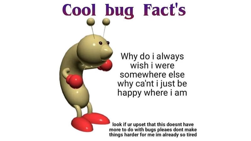 Cool Bug Fact's meme template - Cool Bug Facts