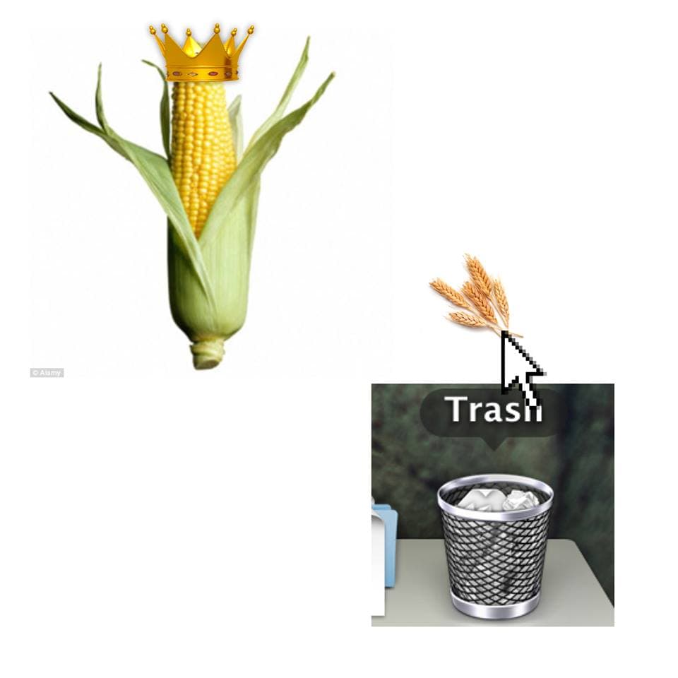 Corn Is The Best Crop & Wheat Is Worst meme template - Corn Is The Best Crop