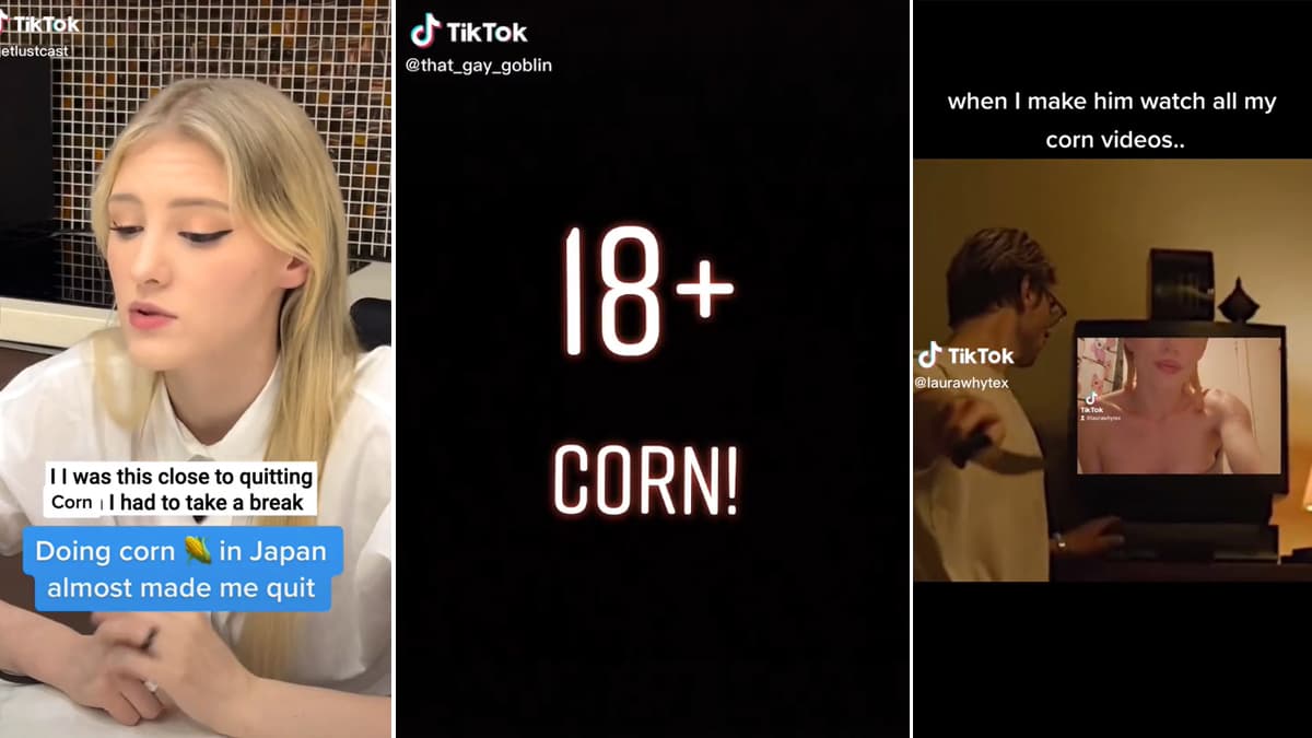 Corn Meaning On TikTok meme template - Corn meaning TikTok meme